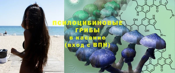 герыч Алзамай